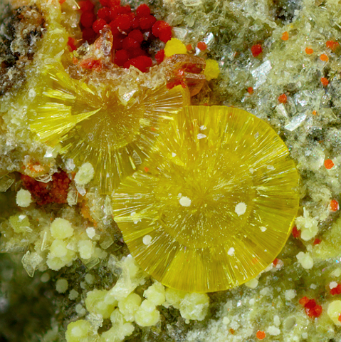 Calcurmolite du Mas d'Alary, Hérault, France  © Yannick Vessely