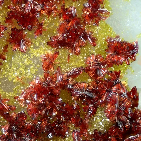 Carminite de Cap Garonne, Var, France © Pascal Chollet