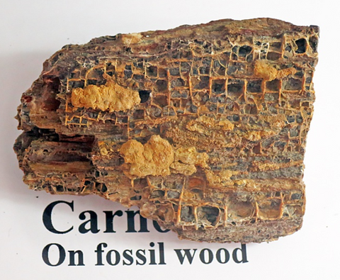Carnotite sur bois fossile de Cameron, Arizona, USA @ Kelly Nash