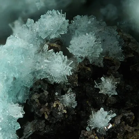 Chalcoalumite de Holbrook Mine, Arizona, USA © Stephan Wolfsried