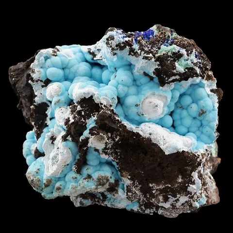Chalcoalumite de Holbrook Mine, Arizona, USA © Rob Lavinsky