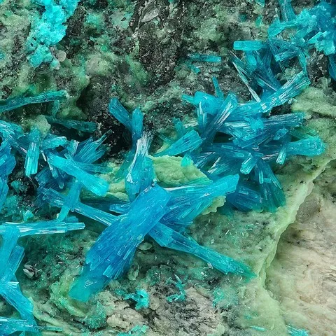 Chalcoménite de Baccu Locci, Sardaigne, Italie © Stephan Wolfsried