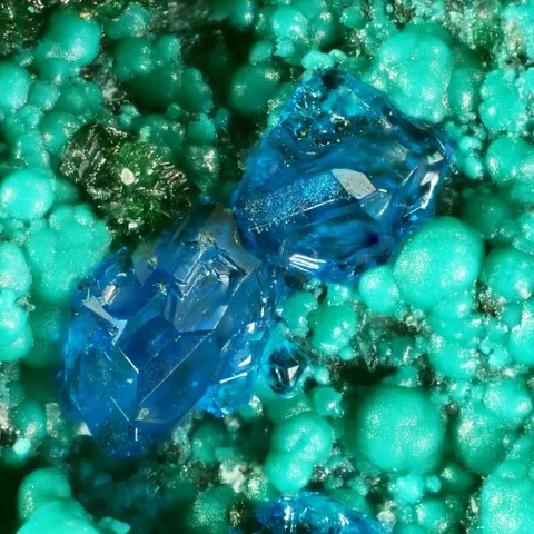 Chalcoménite et malachite de Musonoï, Rép. Dém. du Congo © Italo Campostrini