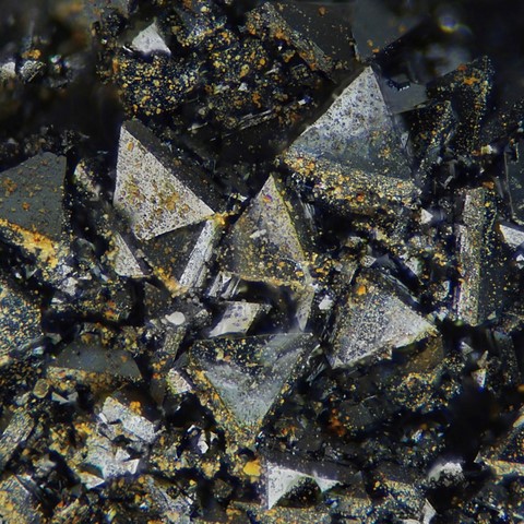 Chalcophanite de Gold Hill Mine, Utah © Alex Earl