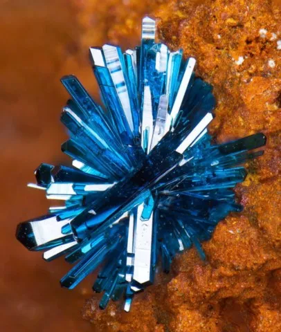 Clinoclase de Majuba Hill Mine, Nevada, USA © Vincent Bourgoin