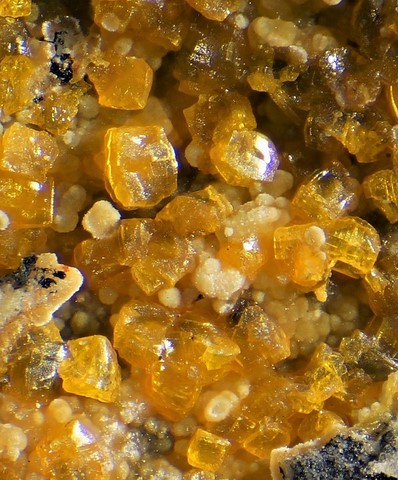 Compreignacite du Mas d'Alary, Hérault, France © Frédéric Bonnet