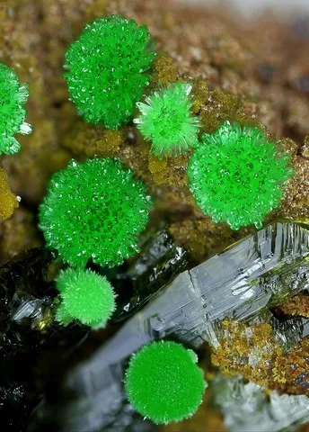 Conichalcite de Gold Hill Mine, Utah, USA © Stephan Wolfsried