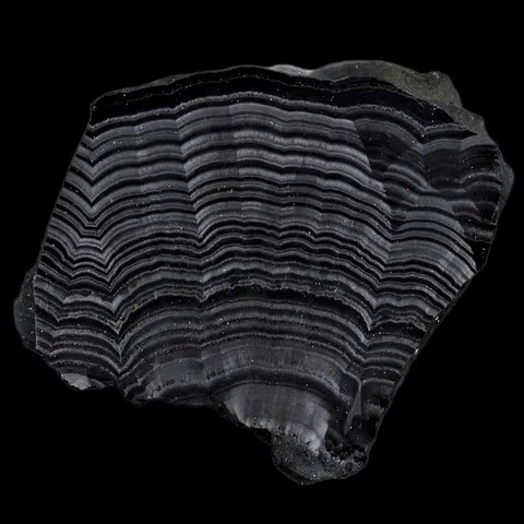 Covellite de Leonard Mine, Butte, Monatna, USA © Daniel J. Evanich