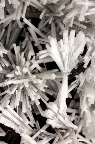 Crandallite de Tom's Quarry, Kapunda, North Mt Lofty Ranges, Mt Lofty Ranges, Australie © Matteo Chinellato