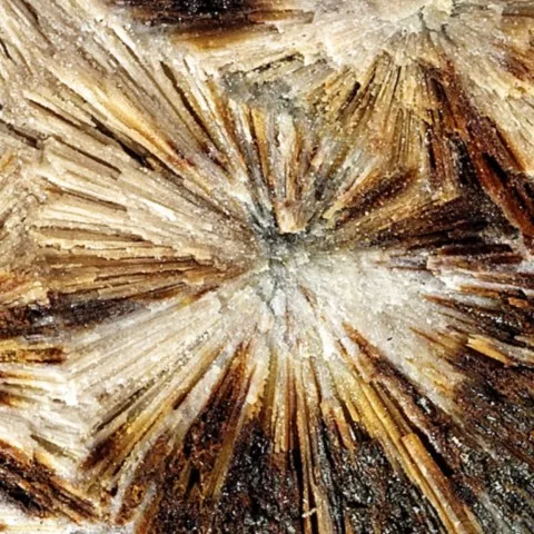 Crandallite du Mont-des-Groseillers, Wallonie, Belgique © Scapin Giovanni