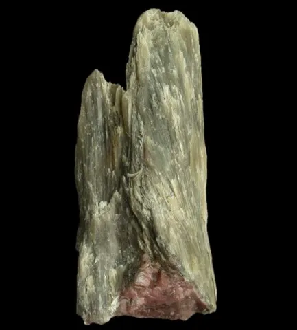 Cummingtonite de Morro da Mina Mine, Minas Gerais, Brésil © John Sobolewski