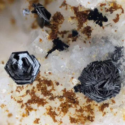 Delafossite de la Mine Clara, Allemagne © Gerhard Niceus