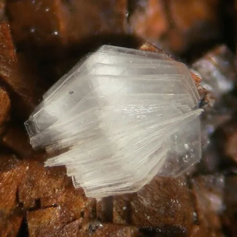 Dickite de Mas Lavayre, Lodève, Hérault, France © Elmar Lackner