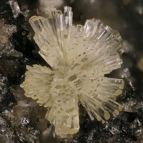 Dickthomssenite de Blue Streak Mine, Montrose County, Colorado, USA © Travis Olds