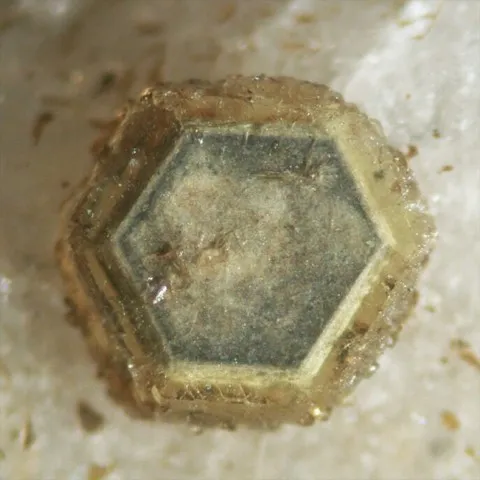 Donnayite de Poudrette Quarry, Mont Saint-Hilaire, Québec, Canada © Elmar Lackner
