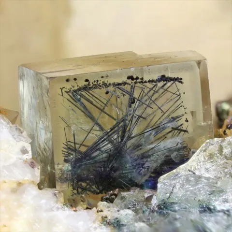 Emplectite dans fluorine de Johanngeorgenstadt, Allemagne © Carsten Slotta
