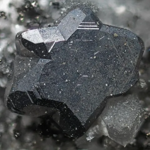 Énargite maclée de Carbonera Quarry, Toscane, Italy © Italo Campostrini