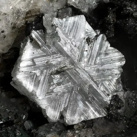 Épididymite maclée de Poudrette Quarry, Mont St-Hilaire, Canada © Matteo Chinellato