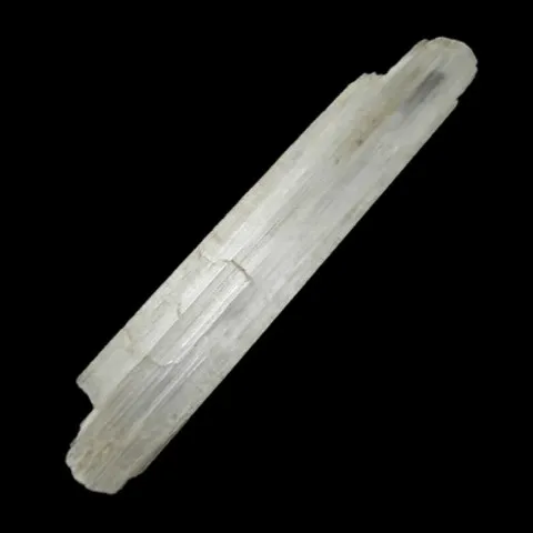Épididymite du Mont Malosa, Malawi © John Sobolewski