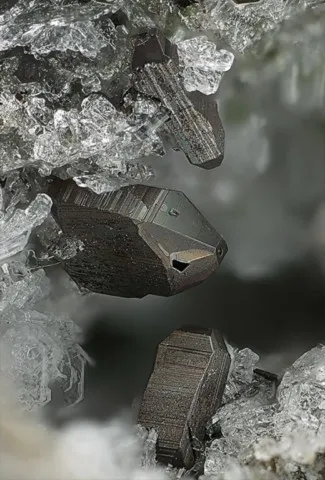 Fayalite de Caspar quarry, Ettringen, Vordereifel, Allemagne © Michael Förch