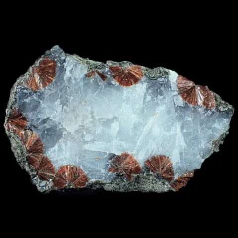 Ferriérite dans calcite d'Albero Bassi, Vénétie, Italie © Antonio Zordan