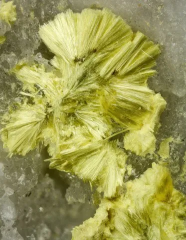 Ferrimolybdite de Ochtiná, Slovaquie © Martin Stevko