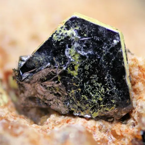 Ferrimolybdite sur molybdénite de Holts Ledge, New Hampshire, USA © Peter Cristofono