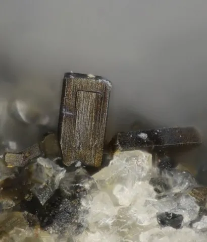Ferrosilite de Caspar quarry, Ettringen, Allemagne © Volker Betz