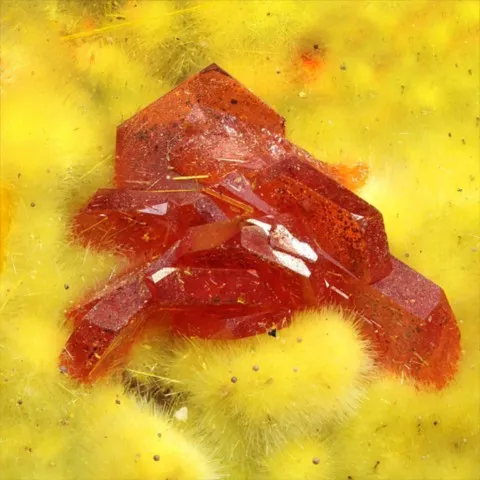Fourmariérite sur uranophane de Shinkolobwe Mine, R. D. du Congo © Italo Campostrini