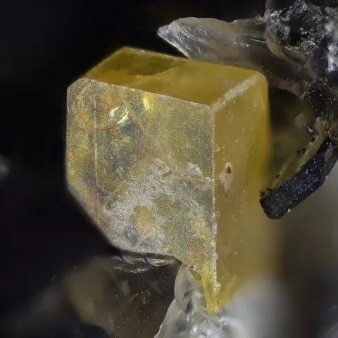 Fresnoite de Graulay Quarry, Allemagne © Volker Heck