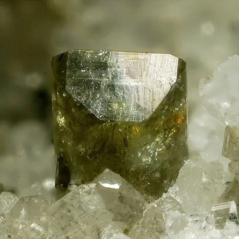 Gadolinite de Monte Cervandone, Piémont, Italie © Enrico Bonacina