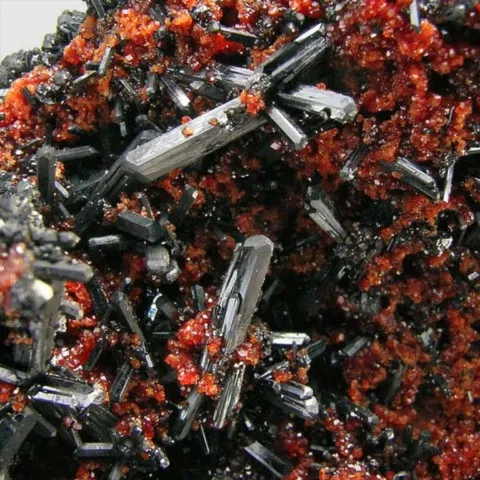 Gaudefroyite et andratite de N'Chwaning II Mine, Afrique du Sud © Jordi Fabre