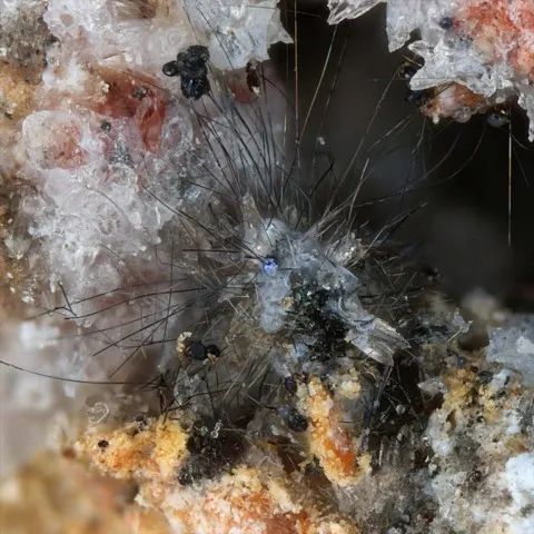 Gaudefroyite aciculaire de Caspar Quarry, Ettringen, Allemagne © Christof Schäfer
