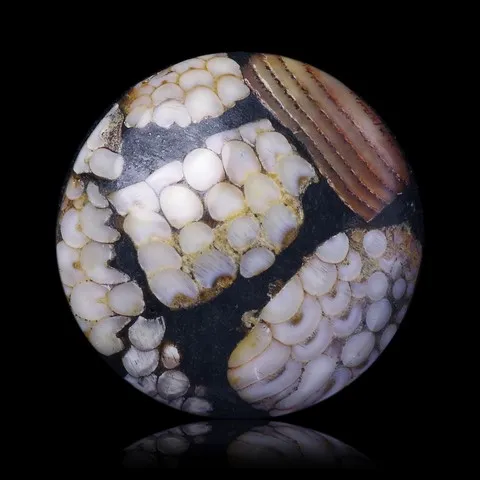 Snakeskin stone