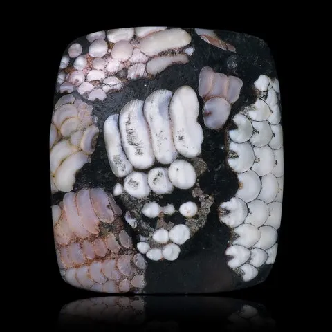 Pierre peau de serpent
