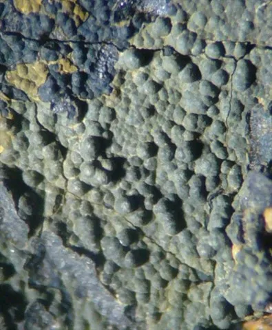 Greenalite de La Unión, Murcia, Espagne © Marco Barsanti