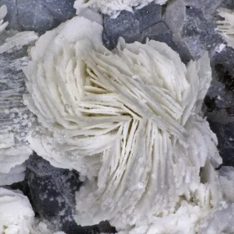 Gyrolite de Monument quarry, Oregon, USA © Rudy W. Tschernich