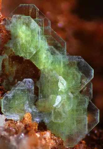 Heinrichite de Schmiedestollen dump, Wittichen, Allemagne © G. Franz Zöll