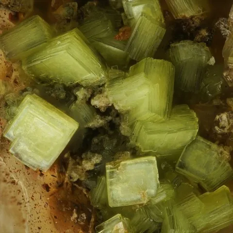 Heinrichite de Schmiedestollen dump, Wittichen, Allemagne © Stephan Wolfsried