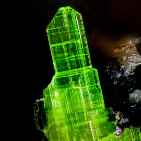 Heinrichite fluorescente de Schmiedestollen, Wittichen, Allemagne © Ko Jansen