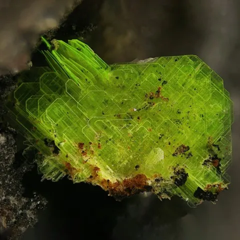 Heinrichite fluorescente de Schmiedestollen, Wittichen, Allemagne © Volker Betz