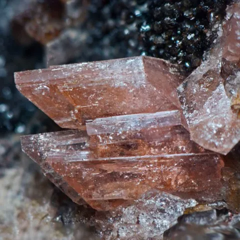 Huréaulite de Tip-Top Mine, Dakota du Sud, USA © Gianfranco Ciccolini
