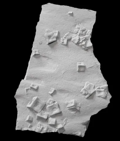 Illite en pseudomorphose de halite de Auburn, Nemaha County, Nebraska, USA © Don Windeler