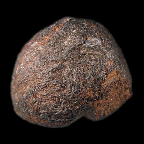 Ixiolite de Namivu Pegmatite, Mozambique © Kelly Nash