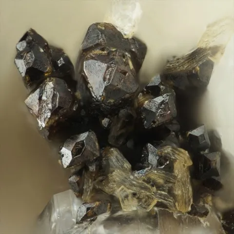 Ixiolite de Vez-Dara River Valley, Tadjikistan © Stephan Wolfsried