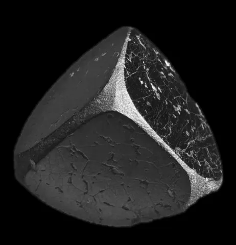 Jacobsite de Nordmark Odal Field, Filipstad, Suède © Joe Budd