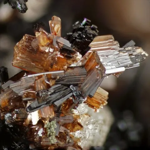 Jahnsite de Tip Top Mine, Dakota du Sud, France © Jolyon Ralph