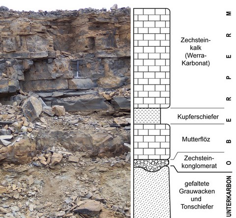 Succession stratigraphique incluant le Kupferschiefer dans la mine Kamsdorf - Source Wikipedia
