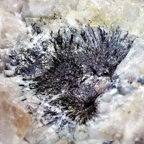 Karélianite de St-Andréasberg, Saxe, Allemagne © R. Hochleitner