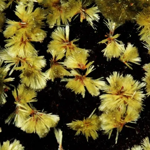 Kidwellite de Indian Mountain, Alabama, USA © Henry Barwood